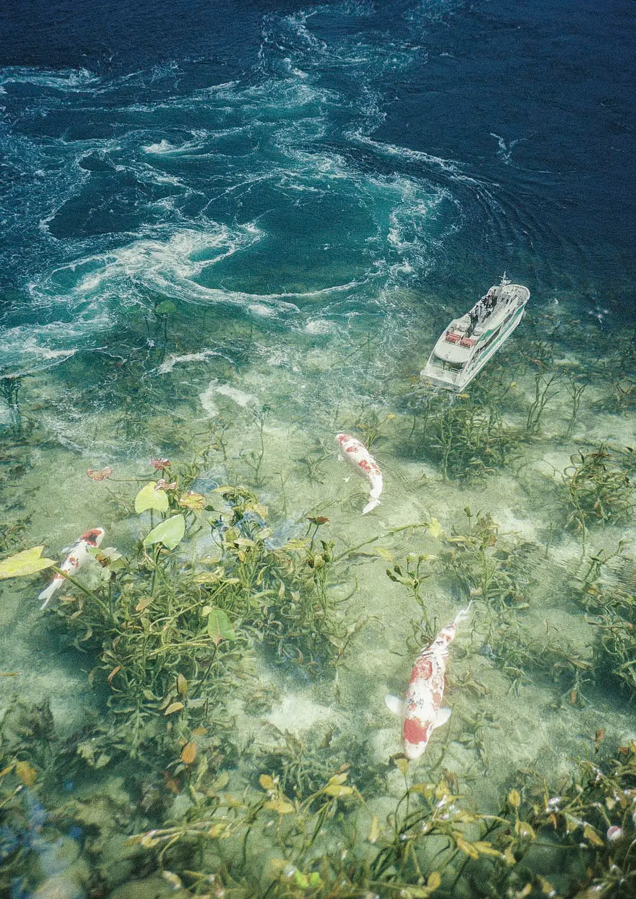 ZINE "Be Water" - 画像 (5)