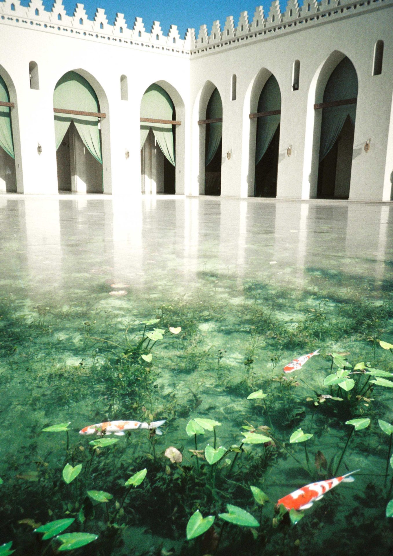 ZINE "Be Water vol.2" - 画像 (5)